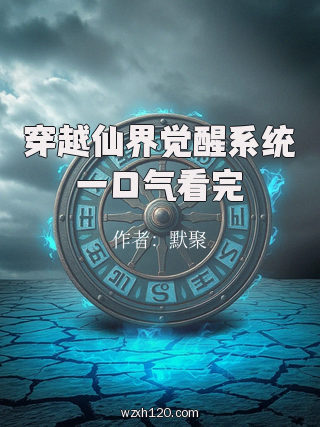 穿越仙界觉醒系统一口气看完