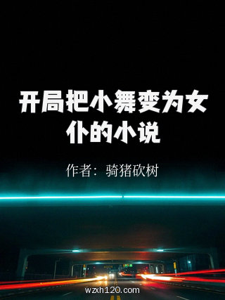 开局把小舞变为女仆的小说