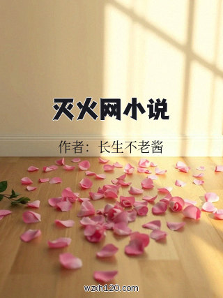 灭火网小说