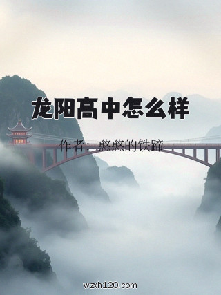 龙阳高中怎么样