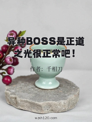 异种BOSS是正道之光很正常吧!