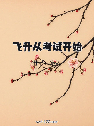 飞升从考试开始