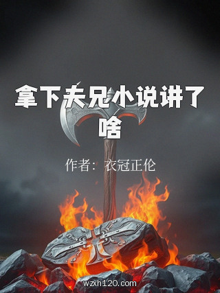 拿下夫兄小说讲了啥