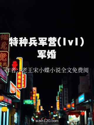 特种兵军营(1v1)军婚