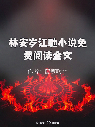 林安岁江驰小说免费阅读全文