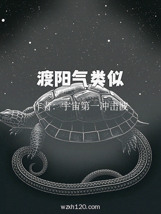 渡阳气类似