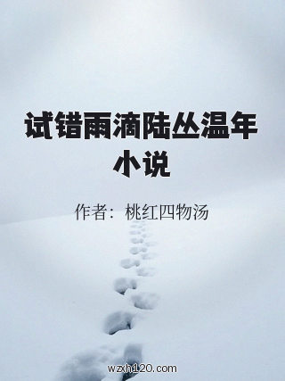 试错雨滴陆丛温年小说