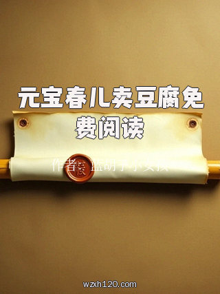元宝春儿卖豆腐免费阅读