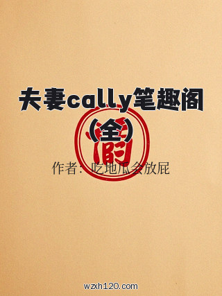夫妻cally笔趣阁(全)