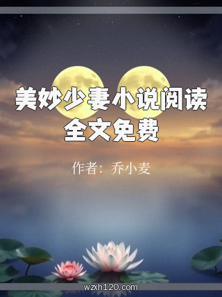 美妙少妻小说阅读全文免费