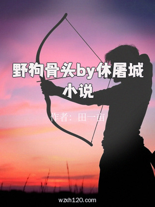 野狗骨头by休屠城小说