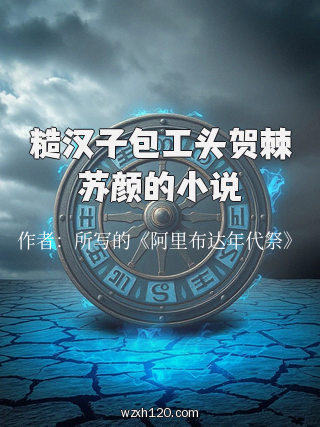 糙汉子包工头贺棘苏颜的小说