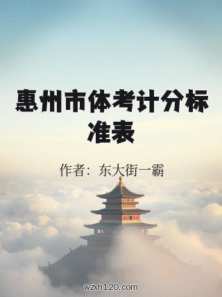 惠州市体考计分标准表