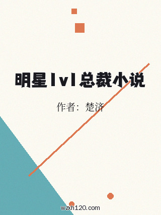 明星1v1总裁小说