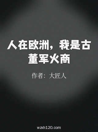 人在欧洲,我是古董军火商
