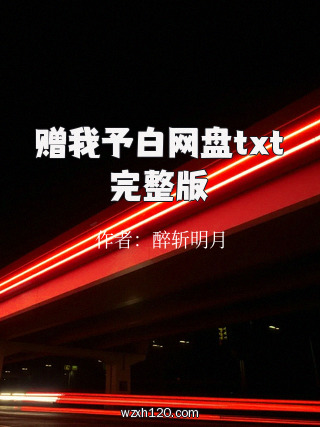 赠我予白网盘txt完整版