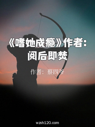 《嗜她成瘾》作者:阅后即焚