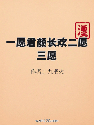 一愿君颜长欢二愿三愿