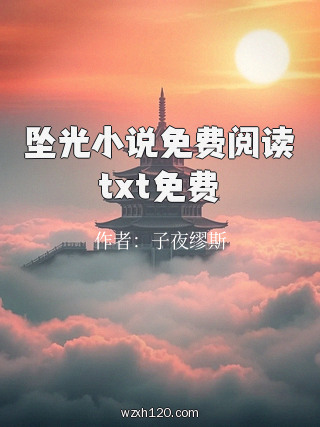 坠光小说免费阅读txt免费