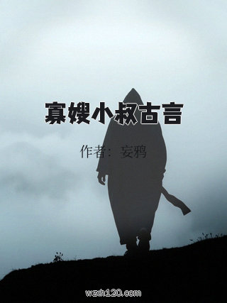 寡嫂小叔古言