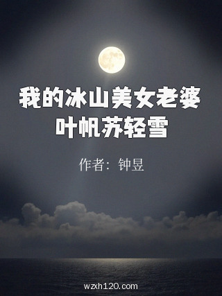 我的冰山美女老婆叶帆苏轻雪