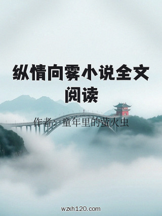 纵情向雾小说全文阅读