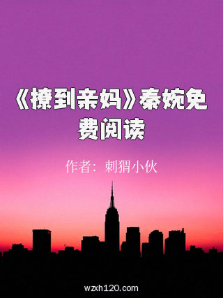 《撩到亲妈》秦婉免费阅读