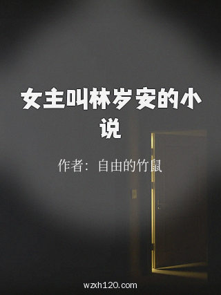 女主叫林岁安的小说