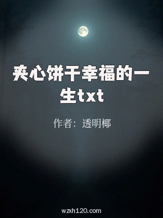 夹心饼干幸福的一生txt
