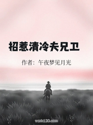 招惹清冷夫兄卫洐