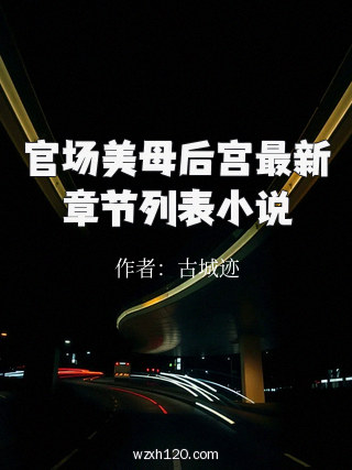 官场美母后宫最新章节列表小说