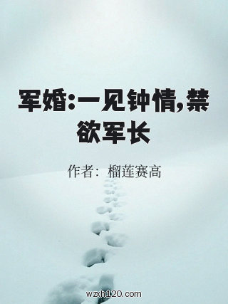军婚:一见钟情,禁欲军长