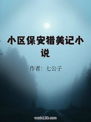 小区保安猎美记小说