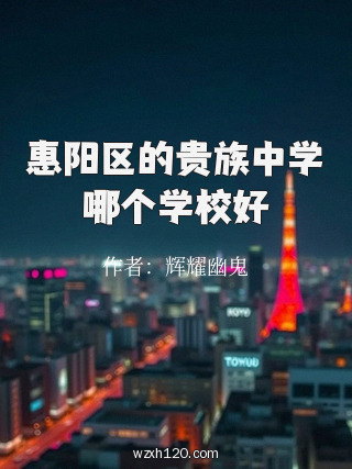 惠阳区的贵族中学哪个学校好