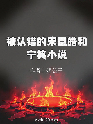 被认错的宋臣皓和宁笑小说