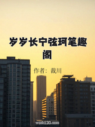 岁岁长宁弦珂笔趣阁