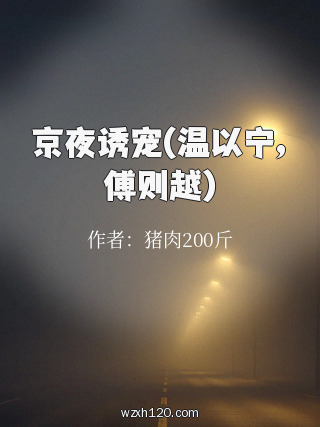 京夜诱宠(温以宁,傅则越)