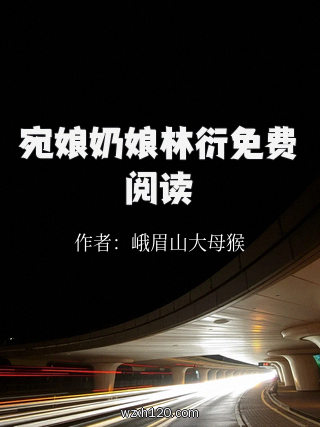 宛娘奶娘林衍免费阅读