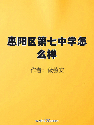 惠阳区第七中学怎么样