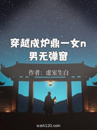 穿越成炉鼎一女n男无弹窗