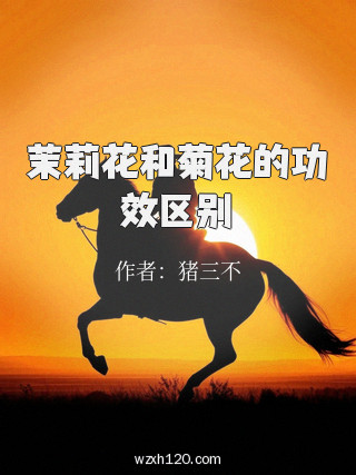 茉莉花和菊花的功效区别
