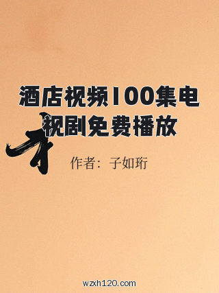 酒店视频100集电视剧免费播放