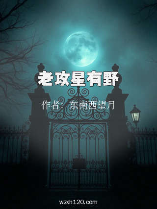 老攻星有野