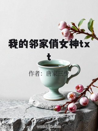 我的邻家俏女神txt