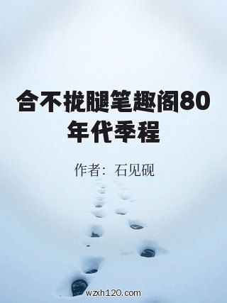 合不拢腿笔趣阁80年代季程