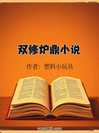 双修炉鼎小说