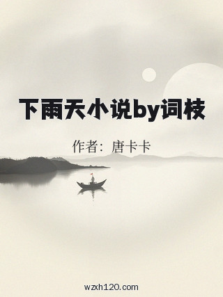 下雨天小说by词枝