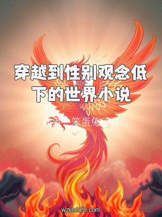 穿越到性别观念低下的世界小说