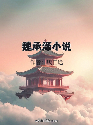 魏承泽小说