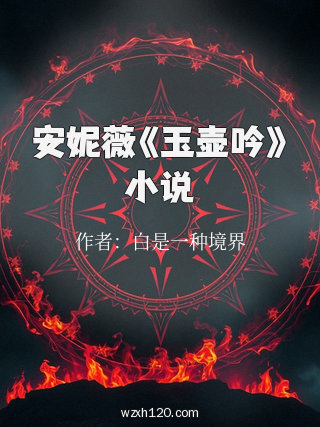 安妮薇《玉壶吟》小说